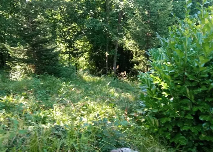 Διαμέρισμα Luka *