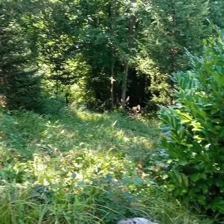 Apartament Luka *